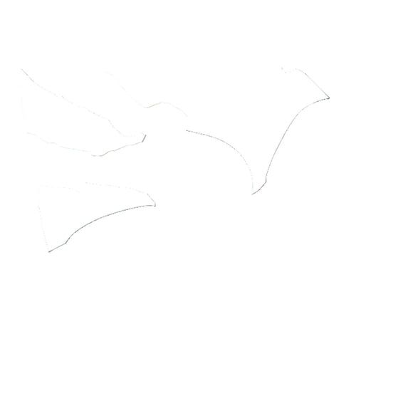 11343_2